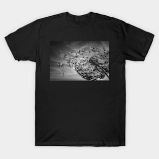 Summer Breeze Dandelion (Noir Texture) T-Shirt